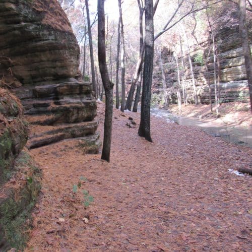 Starved Rock Fall